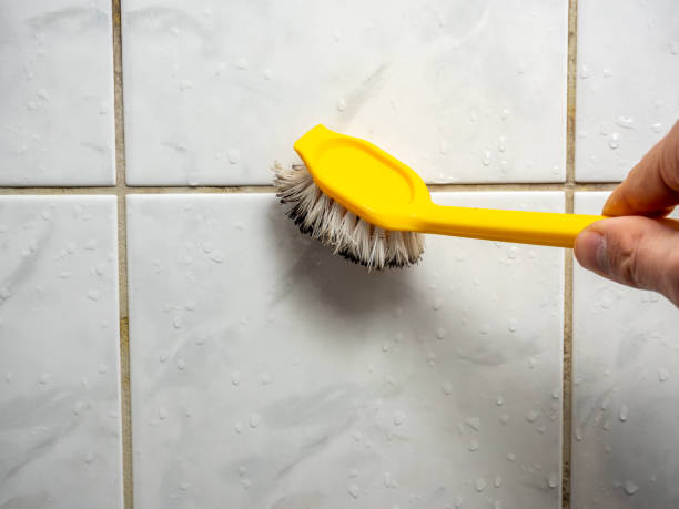 Best Mold Remediation Services  in Ingleside, TX