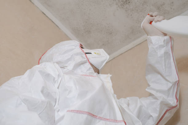 Mold Removal and Inspection in Ingleside, TX