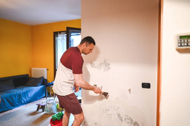 Certified Mold Removal in Ingleside, TX