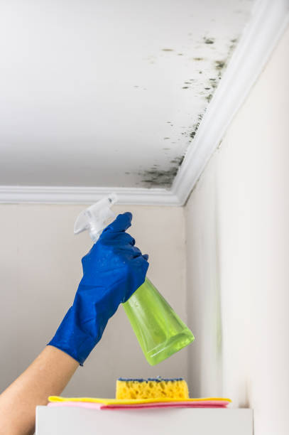 Water Damage Restoration in Ingleside, TX